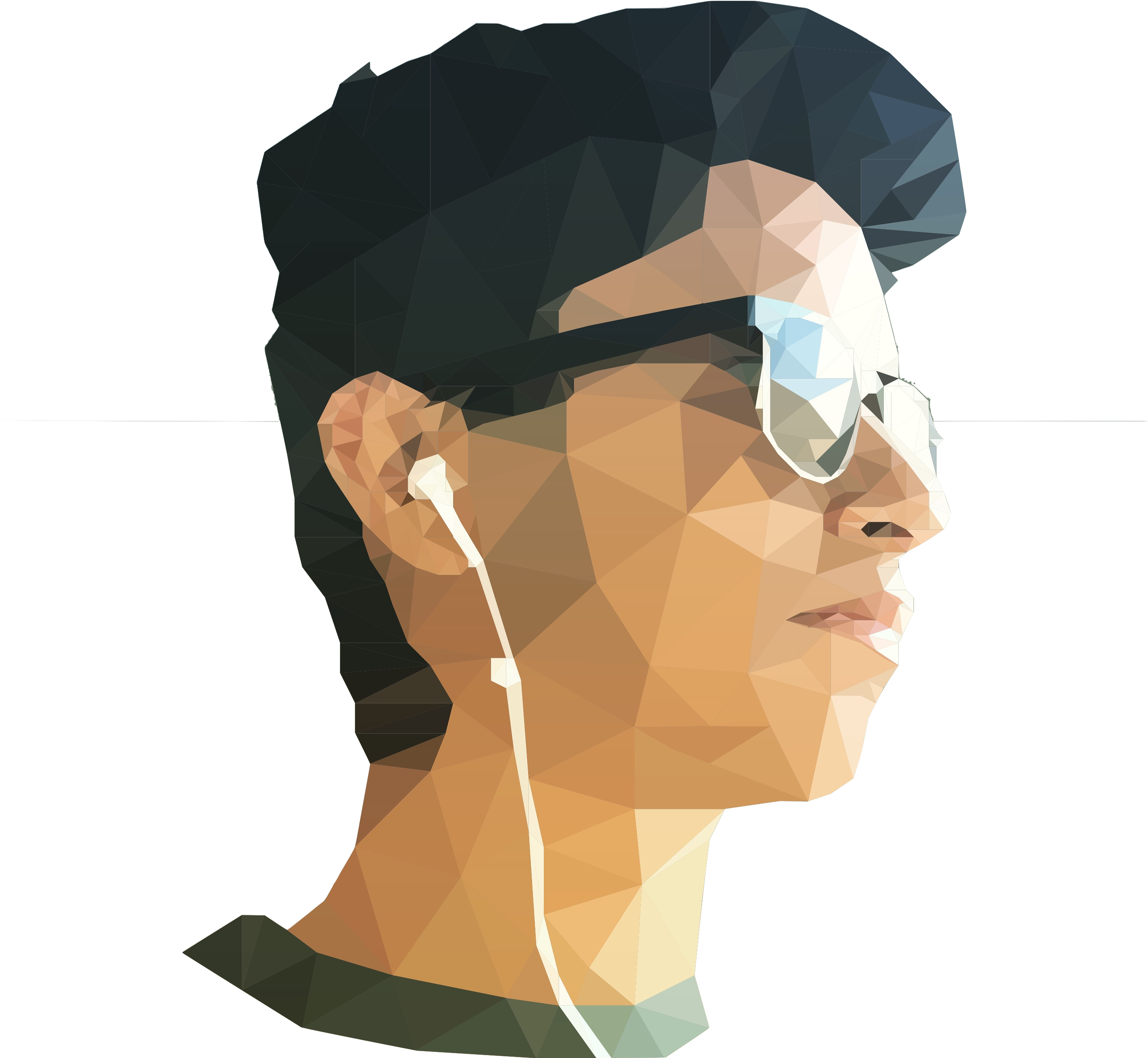 Low Poly Portrait